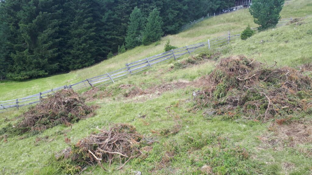 Almpflegeaktion Brunnerwiesen Alm Asthaufen | (c) Paul Oberhammer AVS