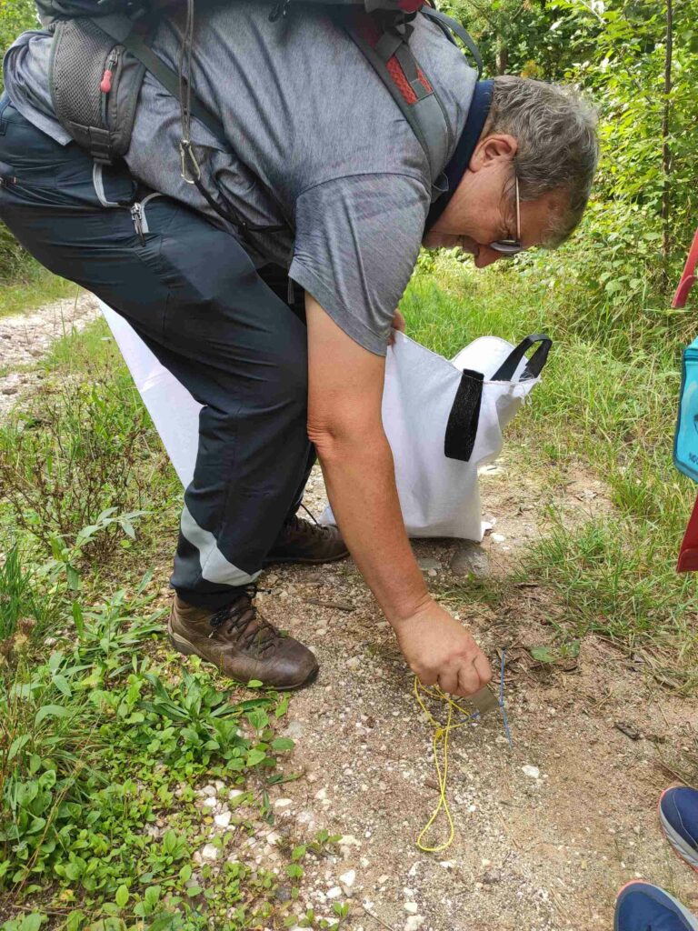 CleanUp Days Aldein 2023_6 (c) Katharina Haller | AVS