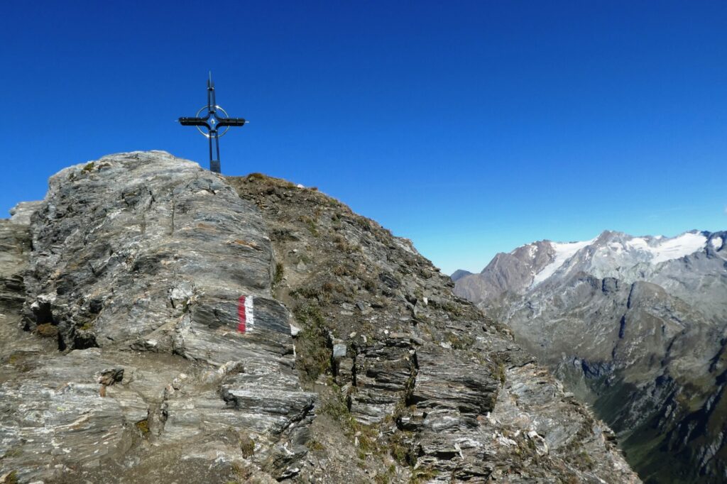 Wurmaul_(c)_Karin_Leichter_AVS