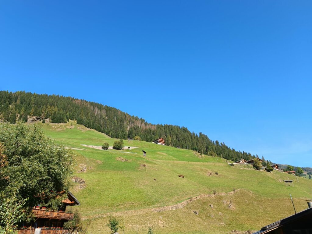 Hänge Innervillgraten I ©Anna Pichler I Bergsteigerdörfer