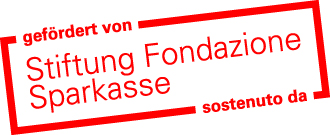 Stiftung Sparkasse Logo