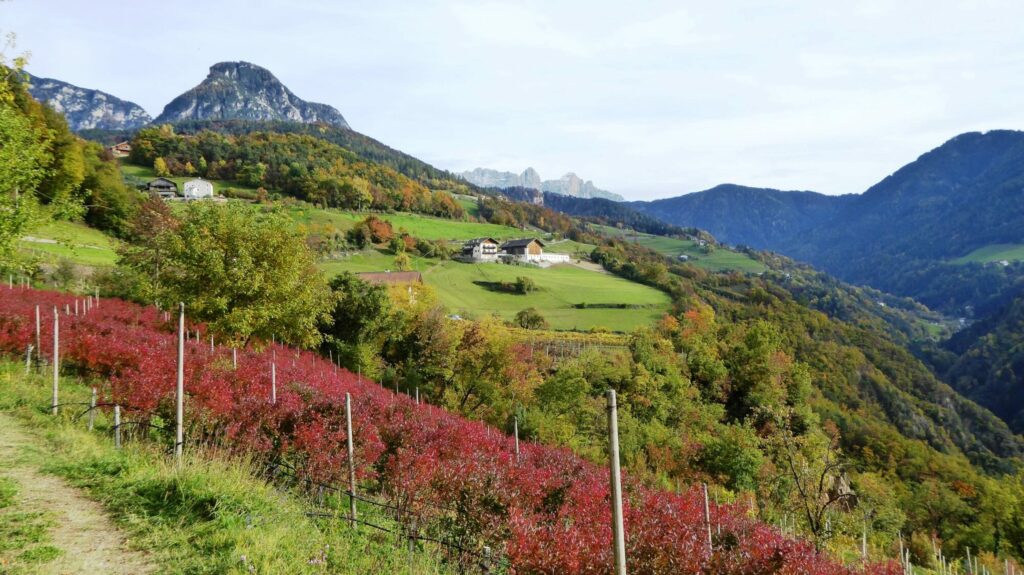 Oachner Höfeweg(c)Ute Prast alpenvereinaktiv