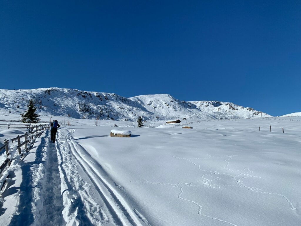 Schneewanderung Villanderer Alm (c)Norber Frena alpenvereinaktiv