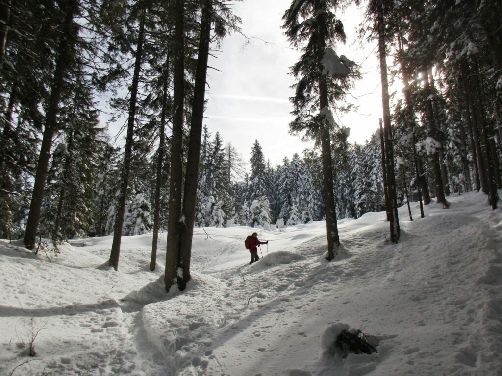 Innerfeldtal (c) Wolfgang Reinstädtler alpenvereinaktiv