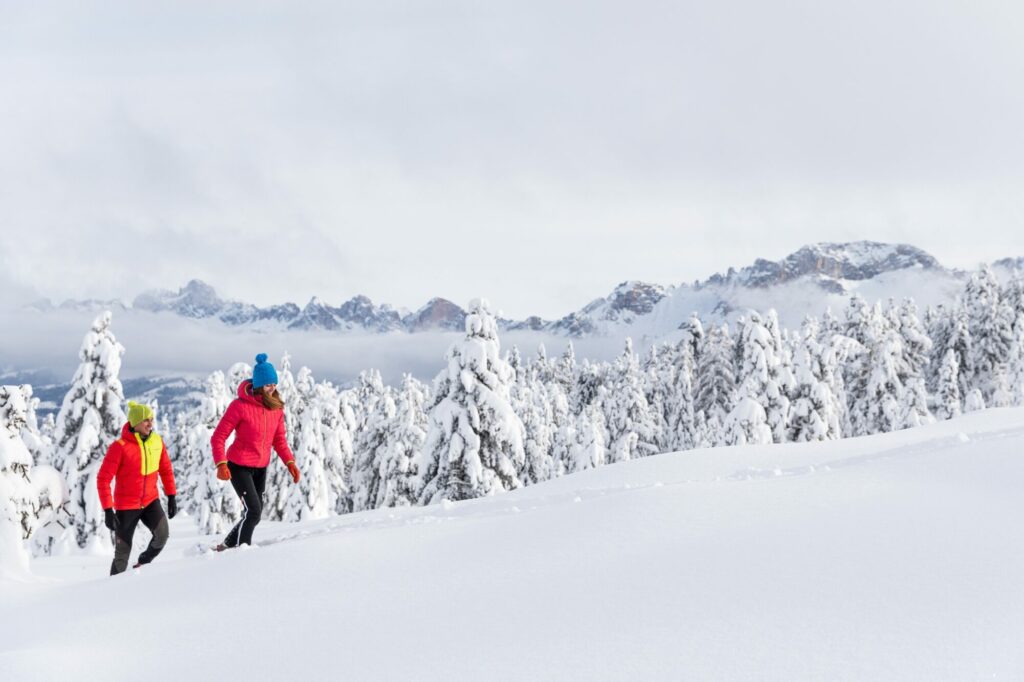 Lavazè (c) G. Panozzo APT Val di Fiemme