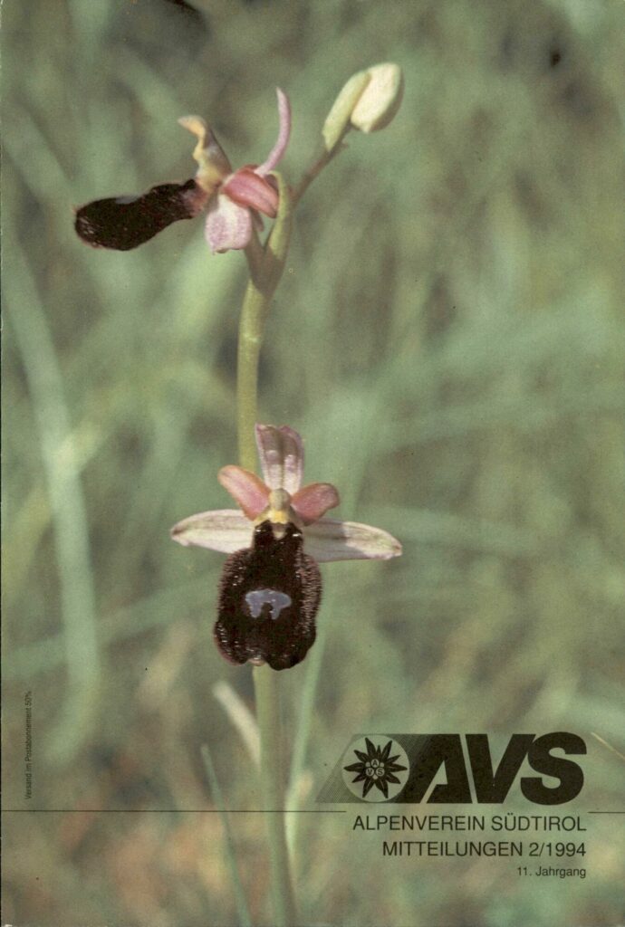 AVS Mitteilungen 1994-02 Cover BE