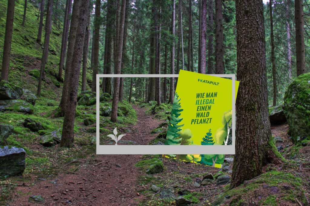 Wald_ohne_Rotkäpchen (c) David Unterweger (6)