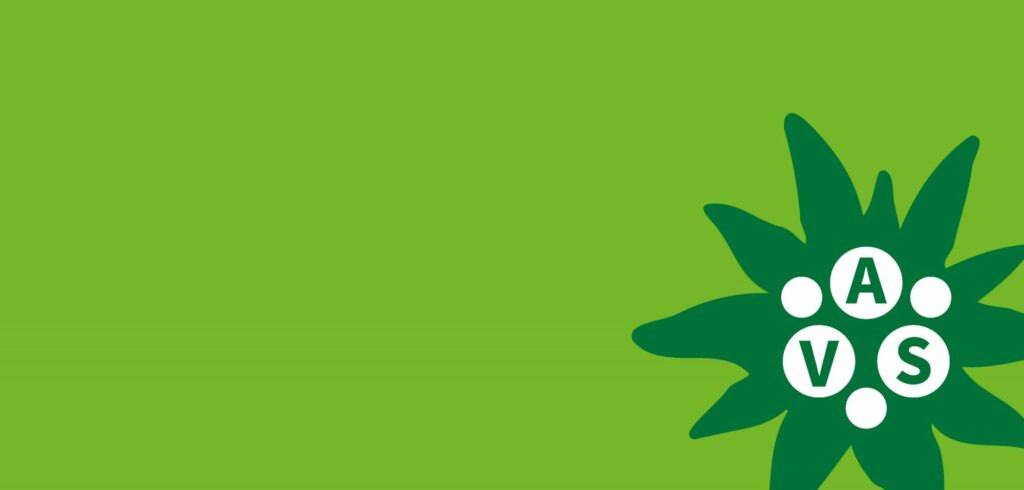Erscheinungsbild Corporate Design AVS