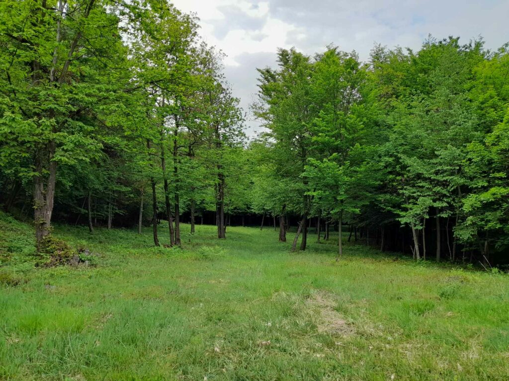 Speicherbecken Bärental I(c)AVS Judith Egger