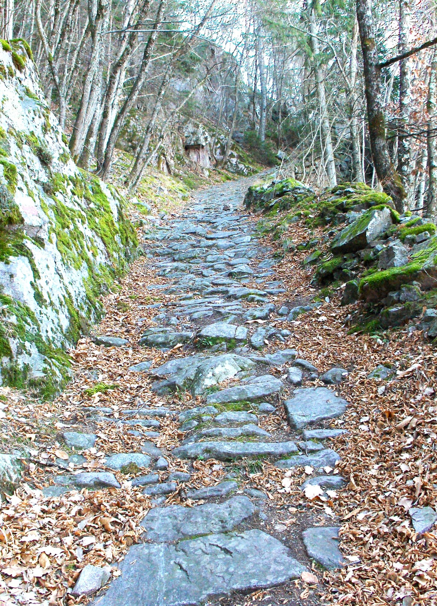 Pflasterweg zwischen Freiberg (Meran) und Vöran (c) Johannes Ortner