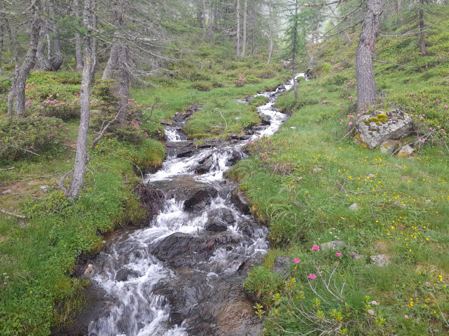 Von Weißbrunn auf den Nagelstein und nach St. Gertraud