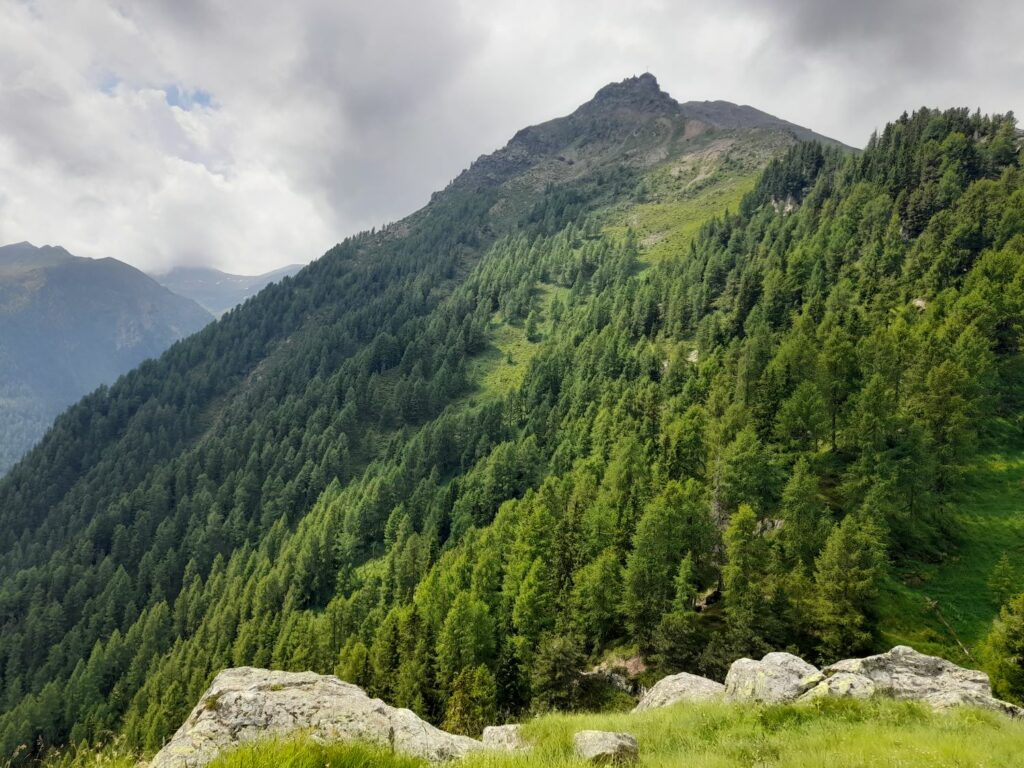 Blick zum Nagelstein (c)Judith Egger