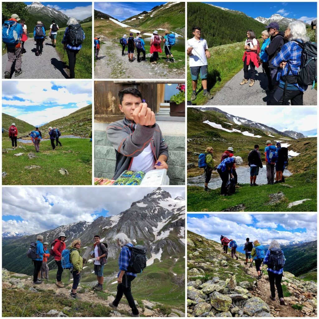 Collage Botanische Wanderung Sesvennagruppe | (c) Helena Steinkasserer (2)