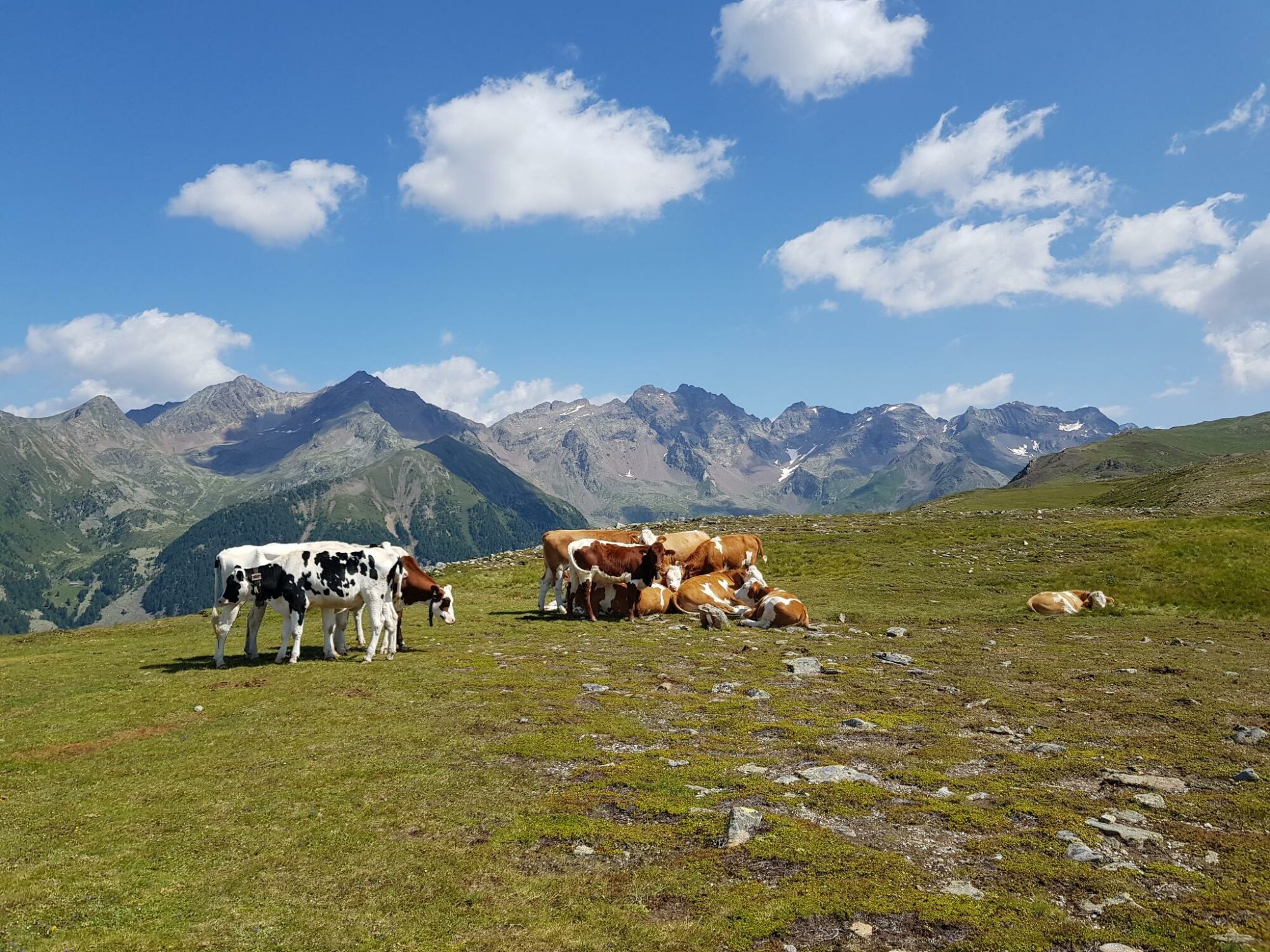 Geige, Kor, Schönbichl, Gipfelrundwanderung im mittleren Pustertal