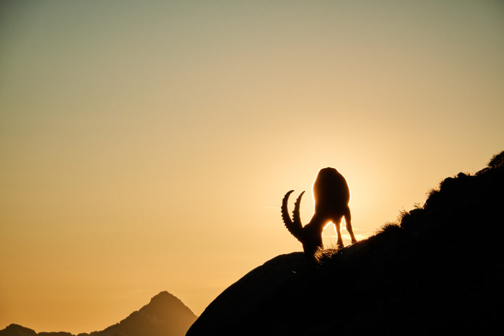 ALPINIST_Granit_Pur_2024_©_Martin_Dejori-8