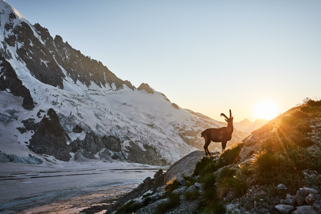 ALPINIST_Granit_Pur_2024_©_Martin_Dejori-8