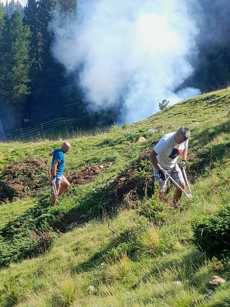 Zwergsträucher schneiden - Brunnerwiesen 2024 I(c)Paul Oberhammer