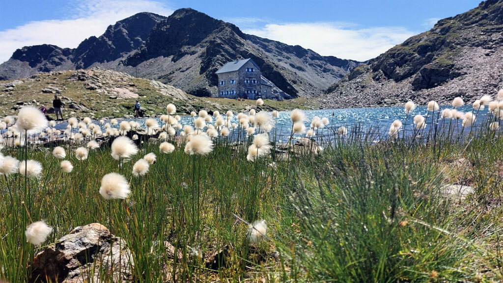 Marburgerhütte (c) Melanie Burger AVS (1)