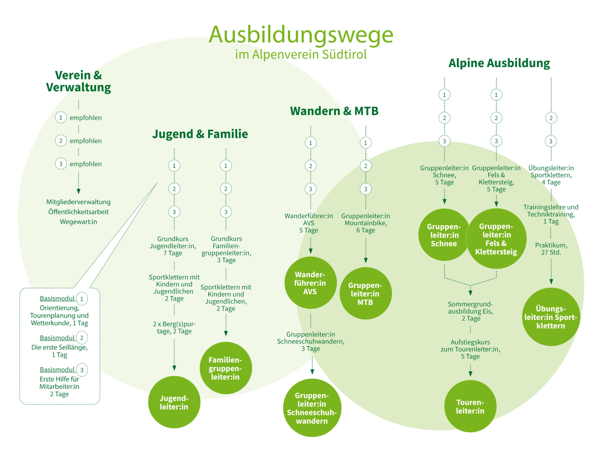 AVS Ausbildungsgrafik