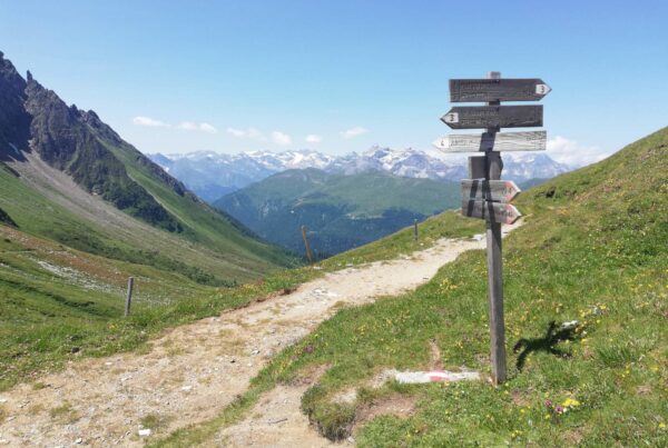 Schlüsseljoch | (c) Priska Prugger_AVS