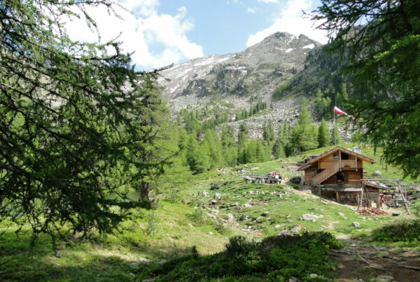 Der Zirmtaler See ist einer der schönsten Bergseen im Vinschgau. Mit seiner glechnamigen urigen Alm ist es ein lohnendes Ausflugsziel für Jung und Alt.