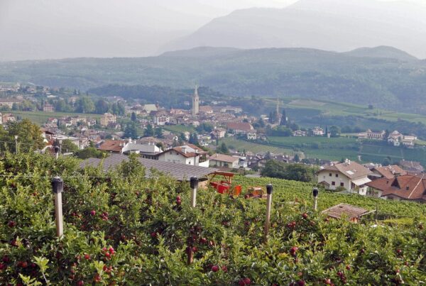 Abwechslungsreiche, aussichtsreiche Wanderung durch Wald und Weinberge vorbei an historischen Gebäuden und durch die Schlucht der Rastenbachklamm.