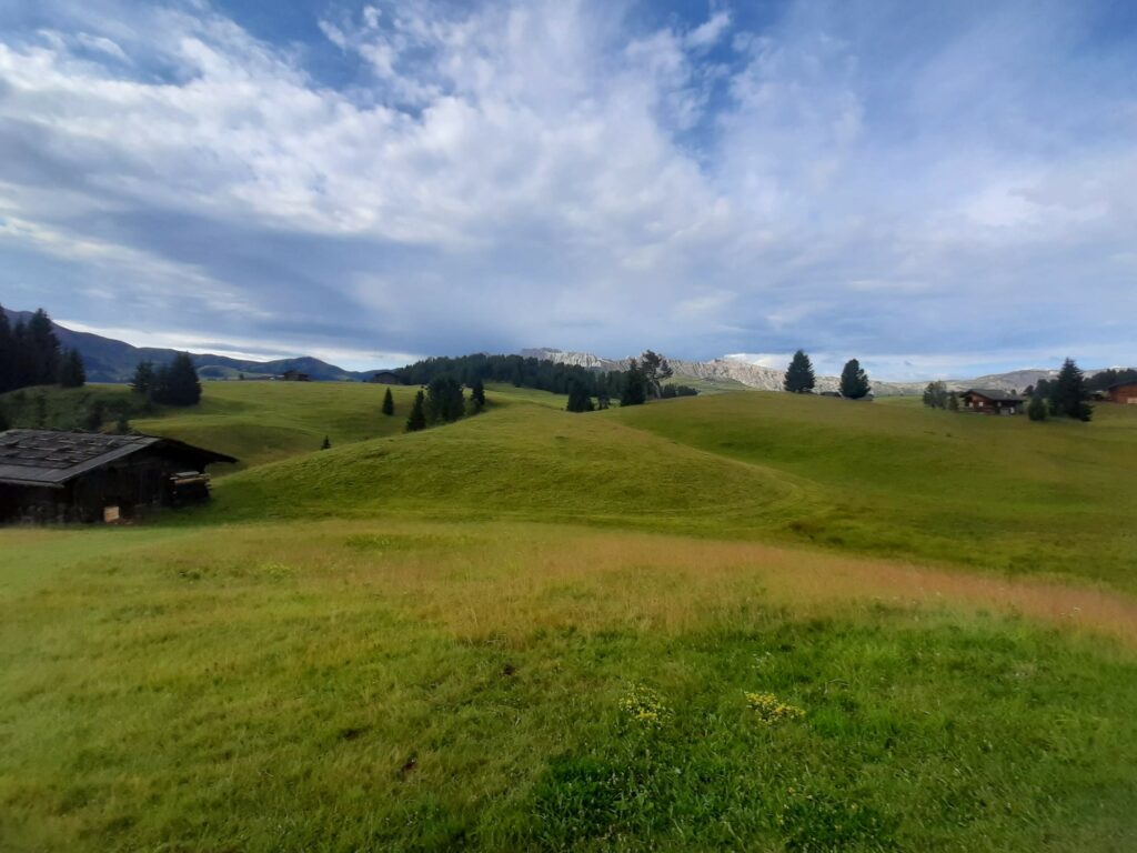 Seiser Alm I(c)Griseldis Dietl