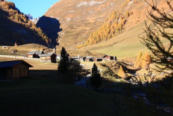 Abwechslungsreiche herbstliche Rundwanderung, vorbei an Almen, am idyllischen Marblsee und dem majestätischen Wilden See unterhalb der Wilden Kreuzspitze.