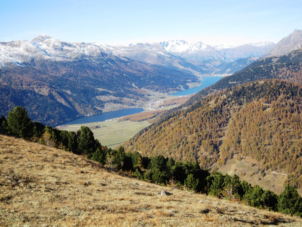 Schöne Rundwanderung auf einen kleinen aber feinen Gipfel mit tollen Ausblicken auf der Sonnenseite im oberen Vinschgau.