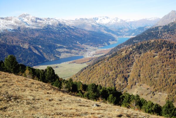 Schöne Rundwanderung auf einen kleinen aber feinen Gipfel mit tollen Ausblicken auf der Sonnenseite im oberen Vinschgau.