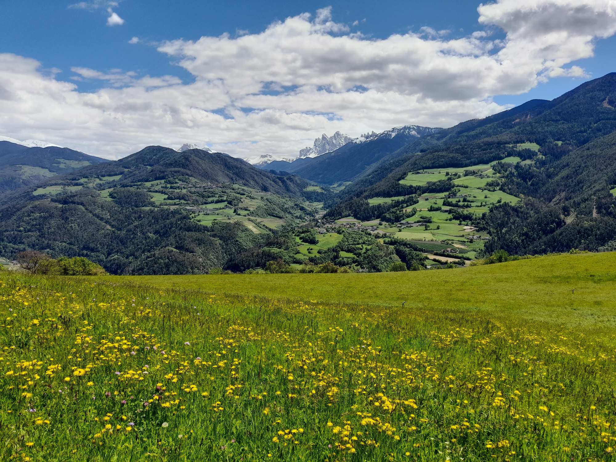 „Wir alle gewinnen an Natur und Landschaft“: Tagung über Planung, Bewertung und Ausgleich