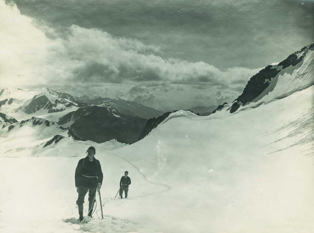 © Karl Felderer AVS NL 1.19.133