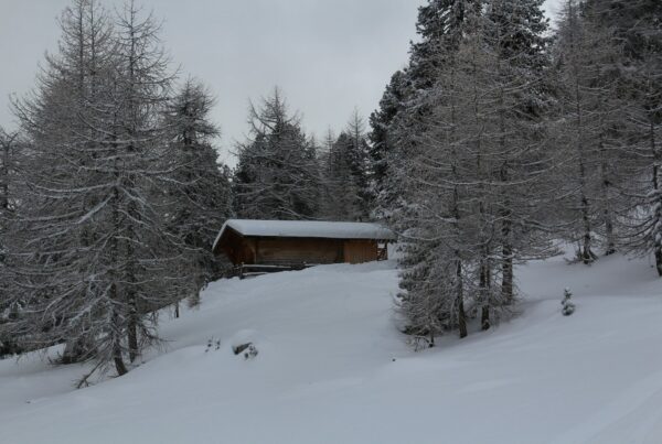 Einfache Schneeschuhwanderung mit schönen Ausblicken.