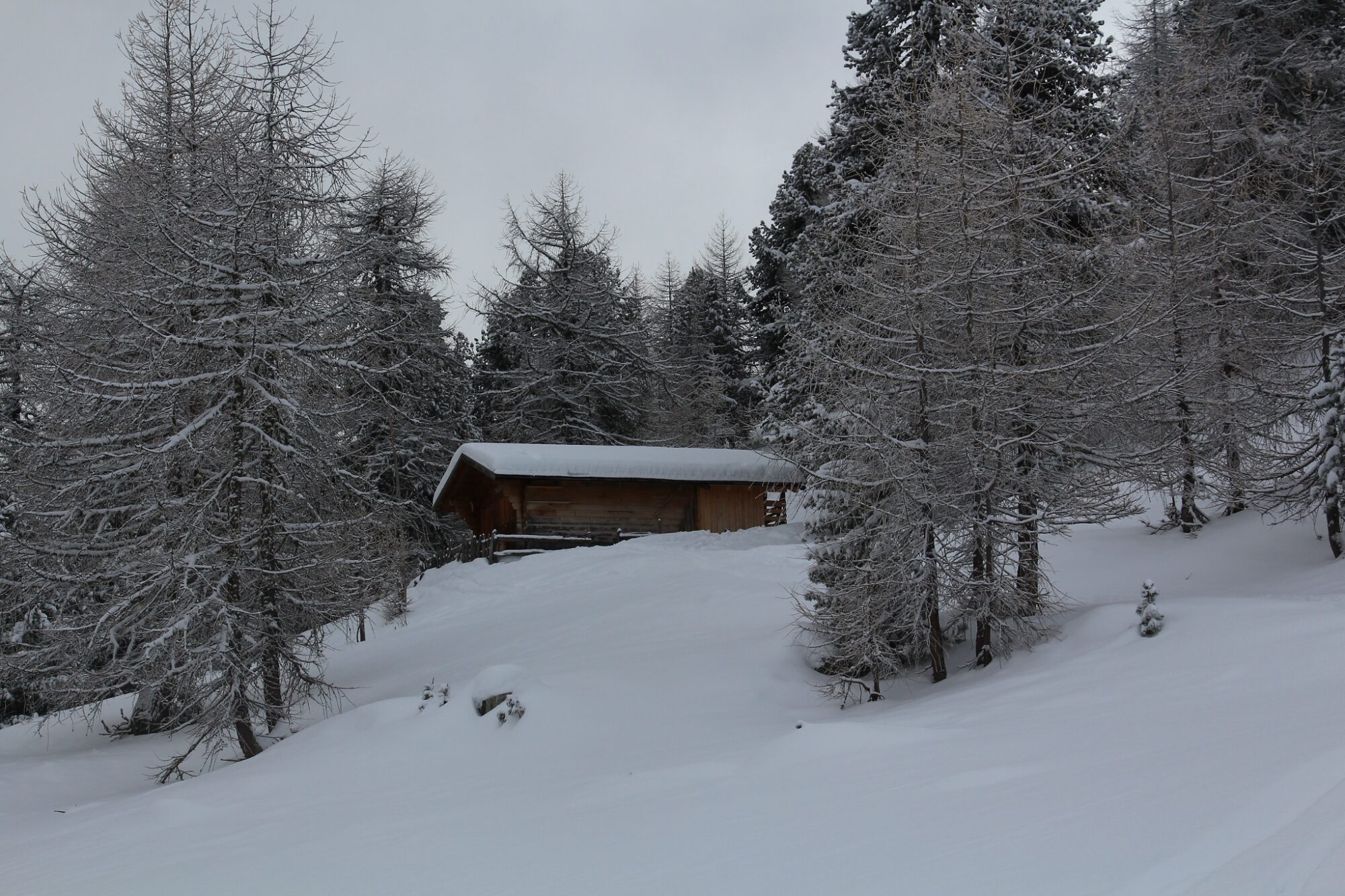 Schneeschuhwanderung zur Kälberalm – Unberührte Alm im Schlinigertal