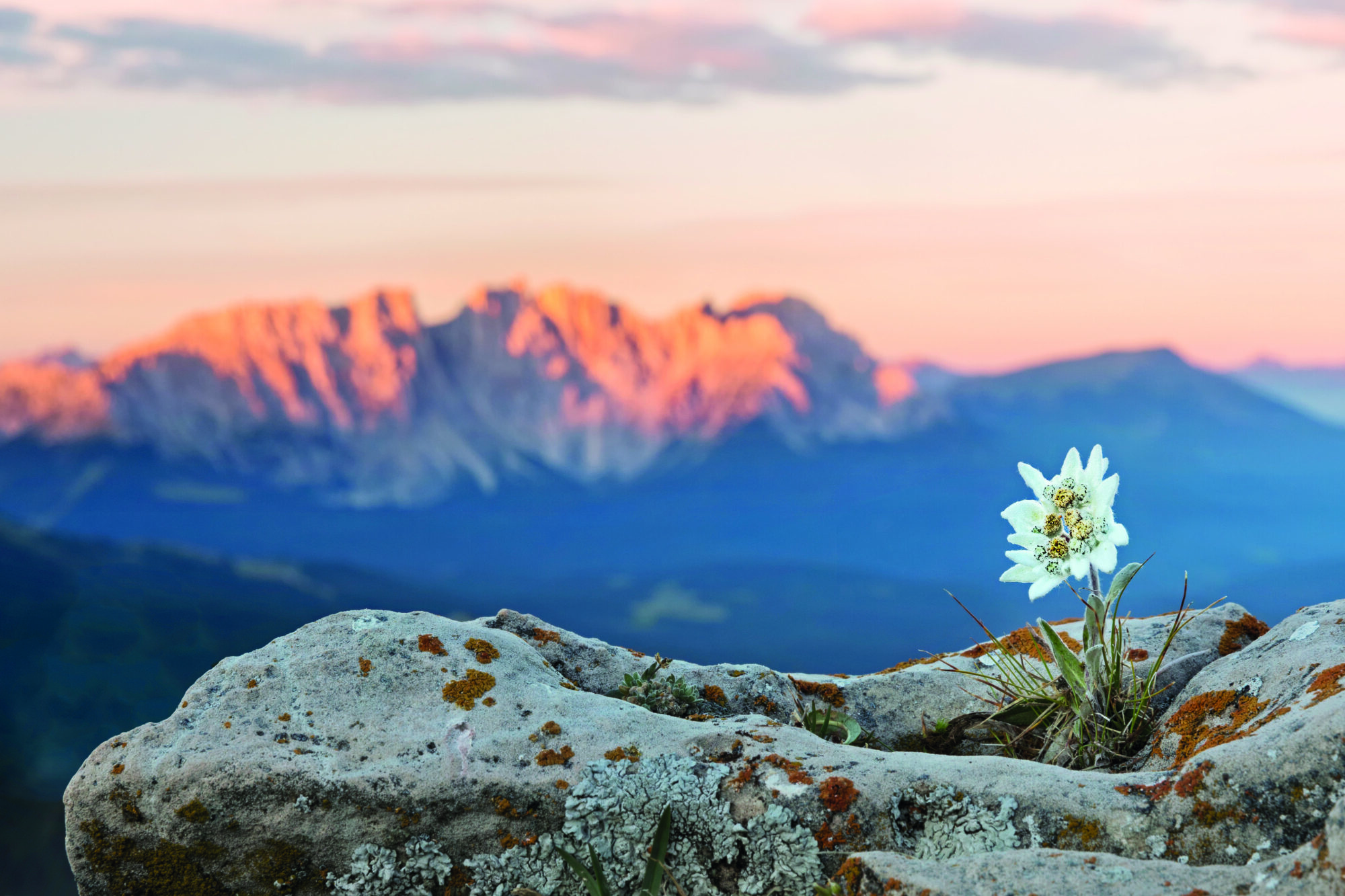 Internationaler Tag der Berge: Wertvollen Raum erhalten, schützen, rückbauen