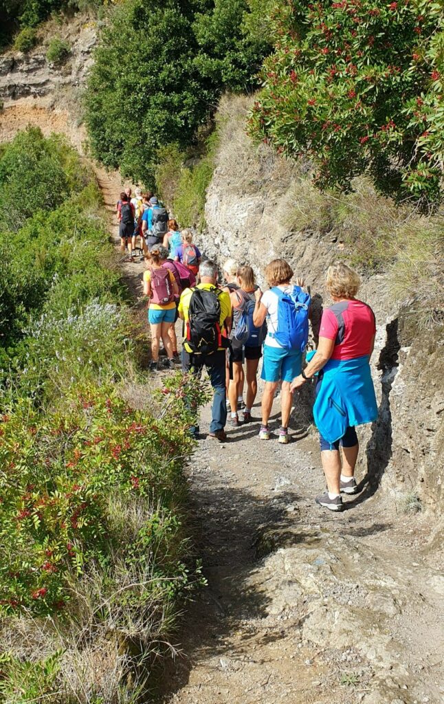 Wanderwoche Ischia (c) Irmgard Schmiedhofer