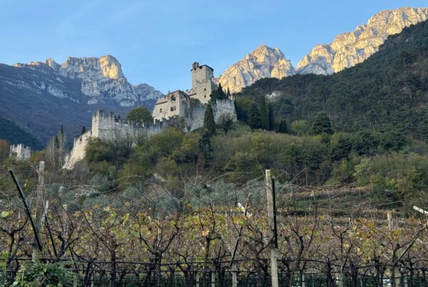 Blick zum Castello d'Avio I(c)Fabian Telch