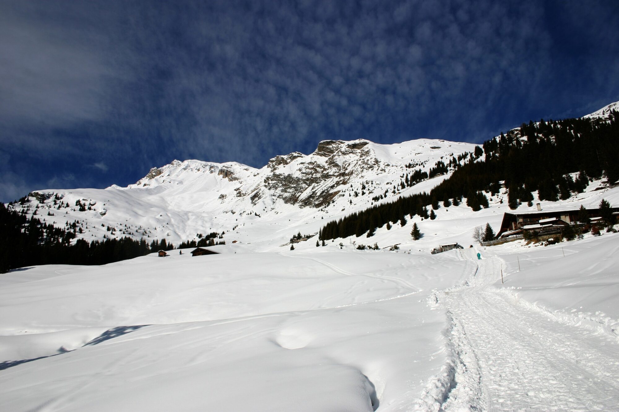 Schneeschuhwanderung zur Freundalm – Ausflugsziel für die ganze Familie