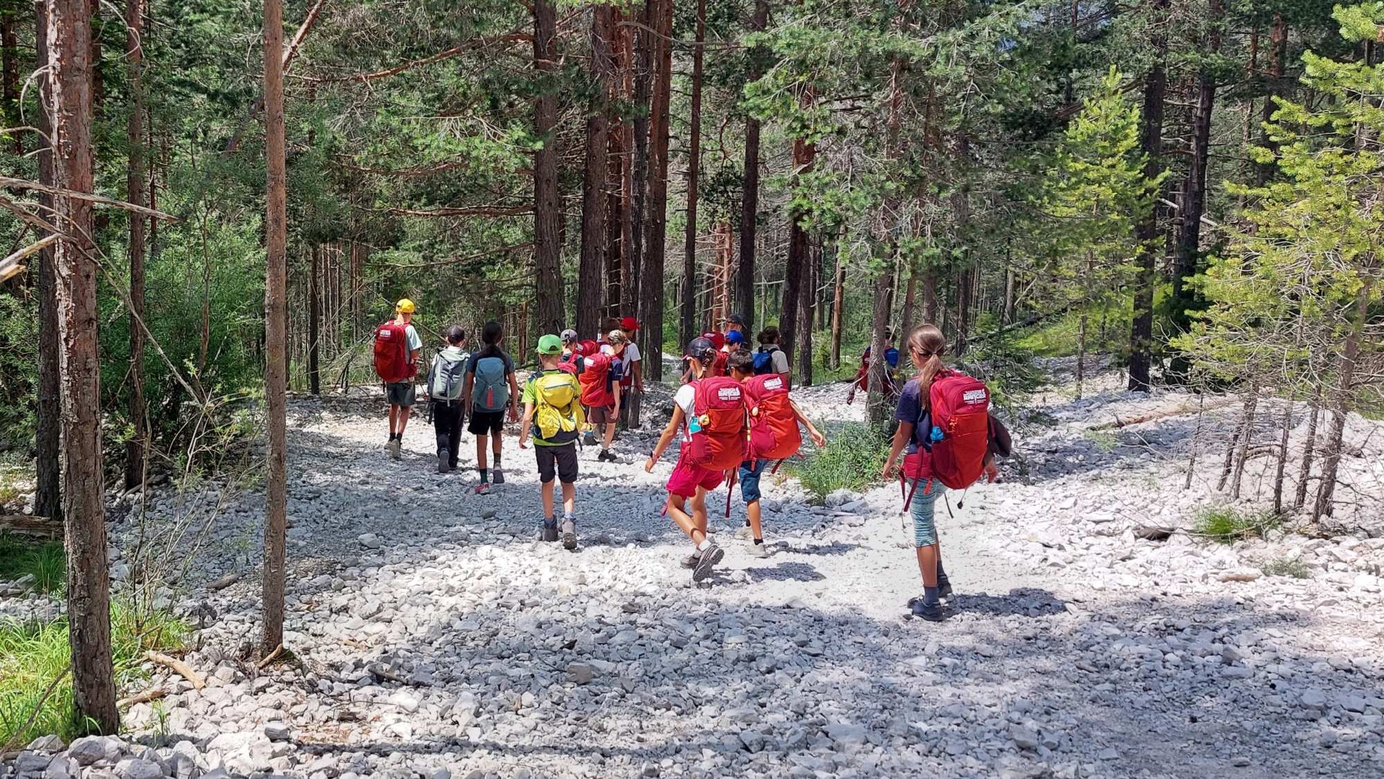 Naturpark Junior Ranger Südtirol 2025 – Anmeldestart am 03.02.2025