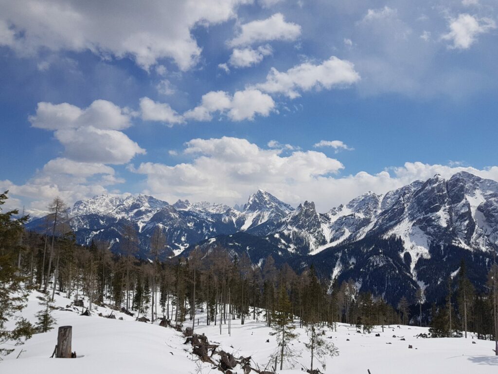 Schneeschuhwanderung von der Waldealm den Brunstwald hinauf auf das Brunstridl mit einem atemberaubenden Ausblick auf die schönsten Dolomitengipfel.