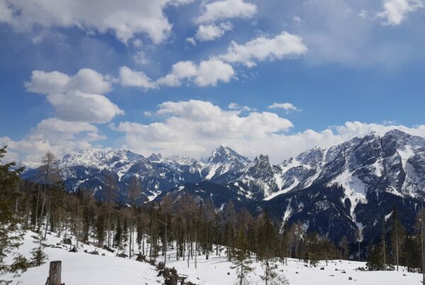 Schneeschuhwanderung von der Waldealm den Brunstwald hinauf auf das Brunstridl mit einem atemberaubenden Ausblick auf die schönsten Dolomitengipfel.