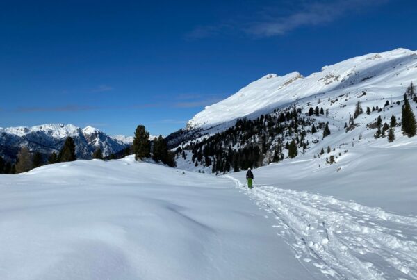 Leichte Skitour, auch für Anfänger geeignet, auf den Strudelkopf / Monte Specie 2307m von Schluderbach.