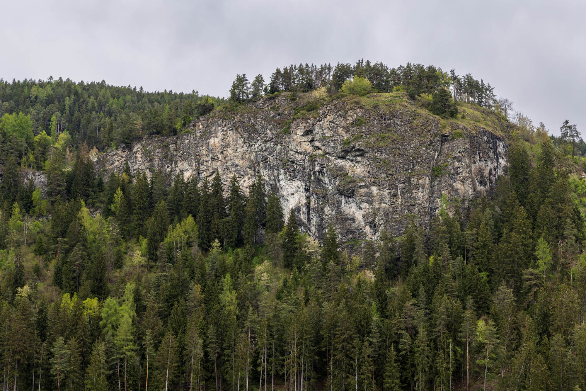 Wenn der Uhu am Kletterfelsen brütet