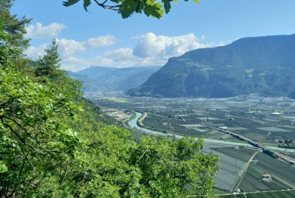 Ausblick aufs Unterland I(c)AVS Meran