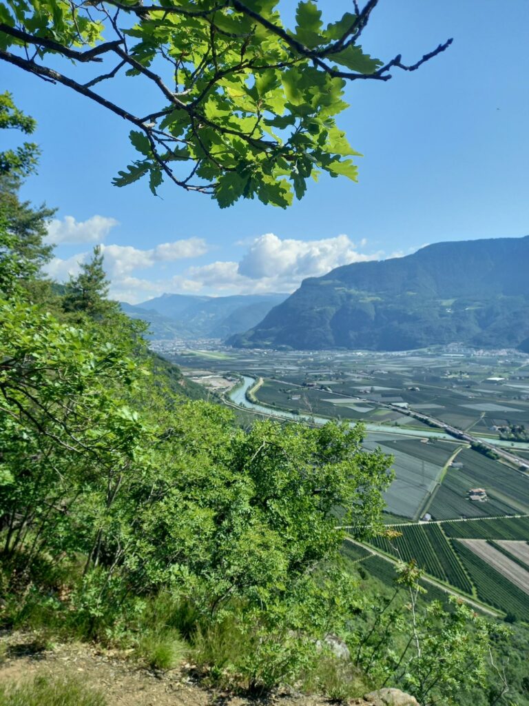Ausblick aufs Unterland I(c)AVS Meran
