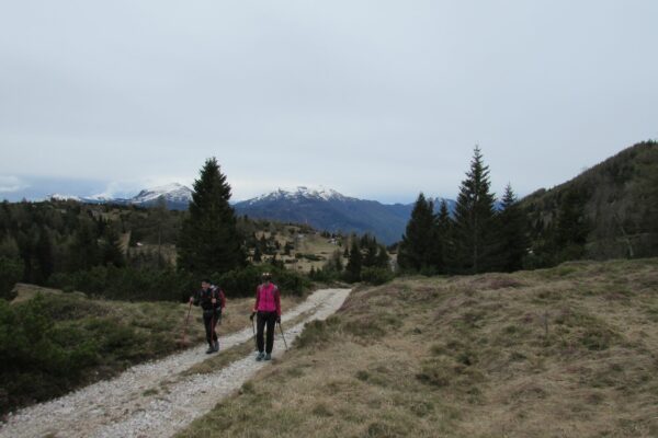 Wanderung Lago Molveno_AVS Kurtatsch-Margreid 11