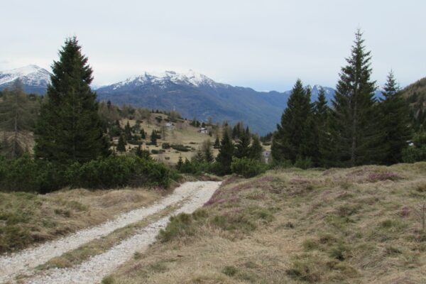 Wanderung Lago Molveno_AVS Kurtatsch-Margreid 12