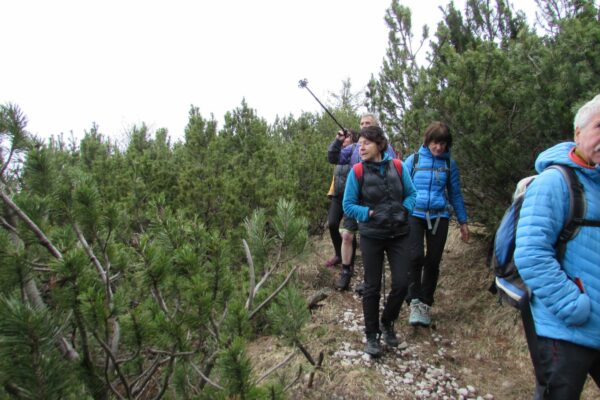 Wanderung Lago Molveno_AVS Kurtatsch-Margreid 15