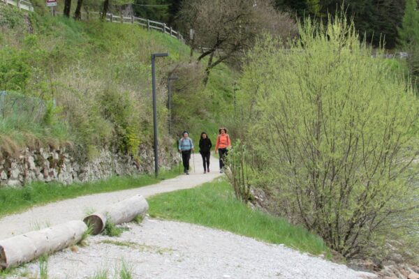 Wanderung Lago Molveno_AVS Kurtatsch-Margreid 18