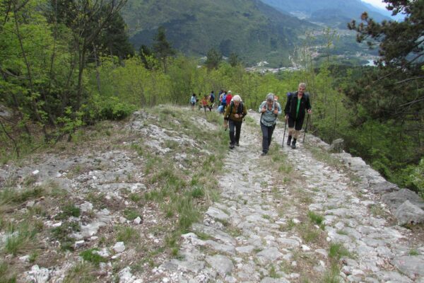 Wanderung Lago Molveno_AVS Kurtatsch-Margreid 3